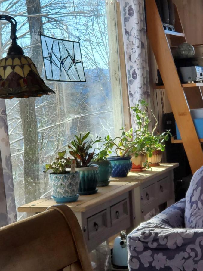 Treehouse Cathedral In Blue Ridge Mountains, Nc Villa Burnsville Bagian luar foto
