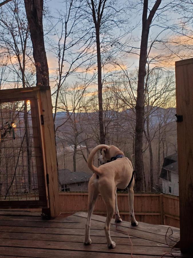 Treehouse Cathedral In Blue Ridge Mountains, Nc Villa Burnsville Bagian luar foto