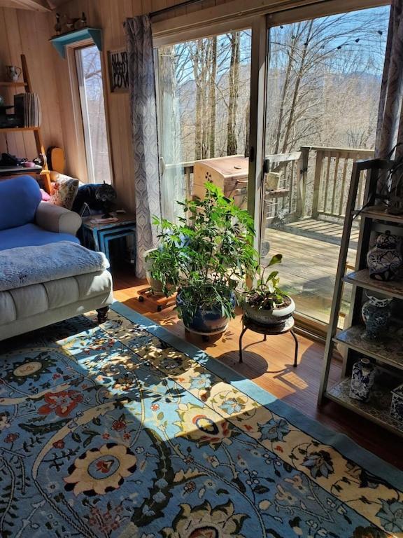 Treehouse Cathedral In Blue Ridge Mountains, Nc Villa Burnsville Bagian luar foto